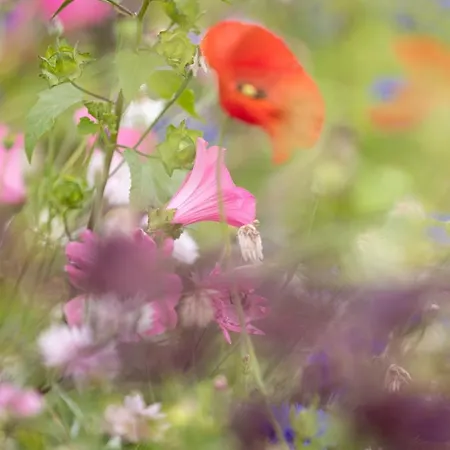 Fellpack House Keswick (Cumbria)
