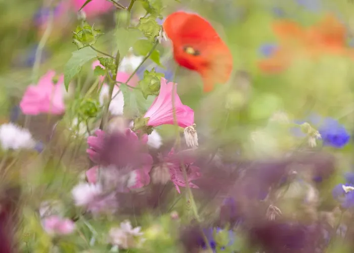 Fellpack House Keswick (Cumbria)